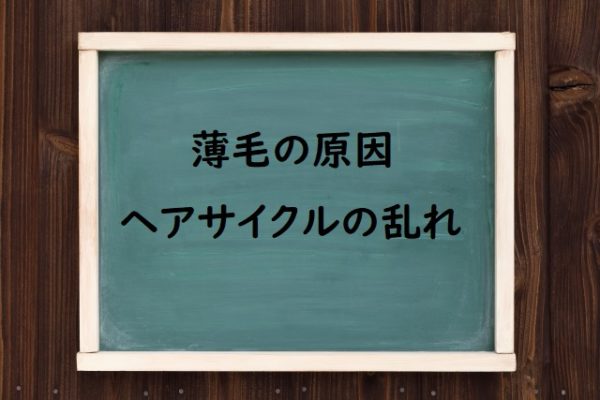男性のAGA・男性型脱毛症「薄毛・はげの原因とは?」【ヘアサイクル異常・乱れを解説】